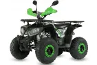 QUAD BIKE 125cc TREX 8c (PLEASE CONTACT FOR THE SENDING TERMS AND PRICE: PARDUOTUVE@HERADAS.LT)