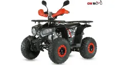 QUAD BIKE 125cc TREX 8c (PLEASE CONTACT FOR THE SENDING TERMS AND PRICE: PARDUOTUVE@HERADAS.LT)