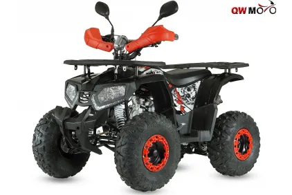 QUAD BIKE 125cc TREX 8c (PLEASE CONTACT FOR THE SENDING TERMS AND PRICE: PARDUOTUVE@HERADAS.LT)