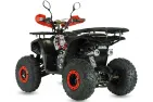 QUAD BIKE 125cc TREX 8c (PLEASE CONTACT FOR THE SENDING TERMS AND PRICE: PARDUOTUVE@HERADAS.LT)