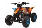 Gasoline Quad bike QWMOTO FOX MAX 110cc