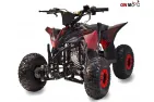 Gasoline Quad bike QWMOTO FOX MAX 110cc