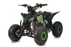 Gasoline Quad bike QWMOTO FOX MAX 110cc