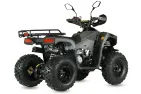 Petrol QUAD BIKE QWMOTO TIGER FOREST 125cc