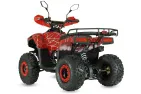 Petrol QUAD BIKE QWMOTO TIGER FOREST 125cc