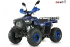 Petrol QUAD BIKE QWMOTO TIGER FOREST 125cc