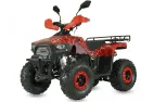 Petrol QUAD BIKE QWMOTO TIGER FOREST 125cc