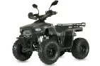 Petrol QUAD BIKE QWMOTO TIGER FOREST 125cc