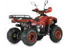 Petrol QUAD BIKE QWMOTO TIGER FOREST 125cc