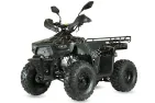 Petrol QUAD BIKE QWMOTO TIGER FOREST 125cc