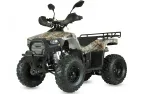 Petrol QUAD BIKE QWMOTO TIGER FOREST 125cc