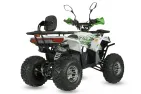 Gasoline quad bike SCOUT 125cc