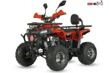 Gasoline quad bike SCOUT 125cc