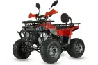 Gasoline quad bike SCOUT 125cc