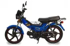 Petrol moped CHAMP DELTA 48cc increased power