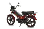 Petrol moped CHAMP DELTA 48cc increased power