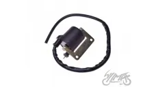 IGNITION COIL PIAGGIO 826115