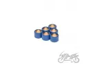 ROLLER SET, VARIATOR 17X13 4,5G TGB