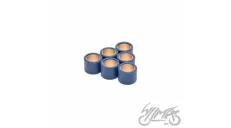 ROLLER SET, VARIATOR 23X18 14,0G 4T