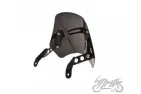 PRIEKINIS STIKLAS BENELLI Leoncino 250