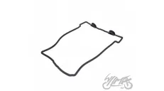 TIMING COVER GASKET FOR BENELLI 702