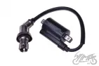 IGNITION COIL ATV 300