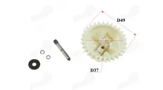 Dantratis motorinio dviračio 4T 53cc 144F-1