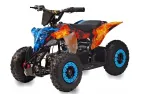 Electric quad bike Racer 1000W 48V