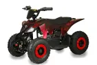 Electric quad bike Racer 1000W 48V