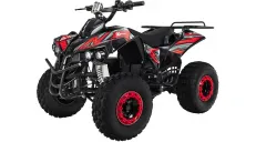 ELECTRIC QUAD BIKE 1000WAT WARRIOR (PLEASE CONTACT FOR THE SENDING TERMS AND PRICE: PARDUOTUVE@HERADAS.LT)