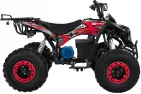 ELECTRIC QUAD BIKE 1000WAT WARRIOR (PLEASE CONTACT FOR THE SENDING TERMS AND PRICE: PARDUOTUVE@HERADAS.LT)