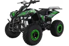 ELECTRIC QUAD BIKE 1000WAT WARRIOR (PLEASE CONTACT FOR THE SENDING TERMS AND PRICE: PARDUOTUVE@HERADAS.LT)