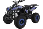 ELECTRIC QUAD BIKE 1000WAT WARRIOR (PLEASE CONTACT FOR THE SENDING TERMS AND PRICE: PARDUOTUVE@HERADAS.LT)