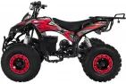 ELECTRIC QUAD BIKE 1000WAT WARRIOR (PLEASE CONTACT FOR THE SENDING TERMS AND PRICE: PARDUOTUVE@HERADAS.LT)