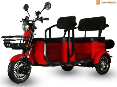 Three-wheel TWO-SEAT electric scooter, stroller, scooter PRAKTIK2 1000W 72V 32AH