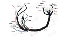 Wiring assembly kit (wire harness) for quad bike 110-125cc WARRIOR, TIGER FOREST