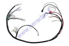 Wiring assembly (wire harness) for quad bike 125-250cc with horizontal engine GY6, Go Kart