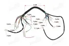 Wiring assembly kit (wire harness) for quad bike 125cc CRUSADER 110CC