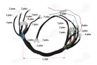 Wiring assembly (wire harness) for quad bike 200cc-250cc with vertical engine