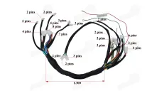 Wiring assembly (wire harness) for quad bike 200cc-250cc with vertical engine