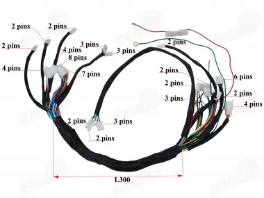 Wiring assembly (wire harness) for quad bike 200cc-250cc with vertical engine