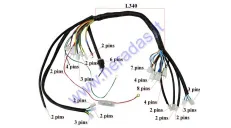 Wiring assembly (wire harness) for quad bike 250cc with a vertical engine fits TIGER FOREST