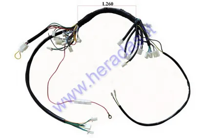 Wiring assembly (wire harness) for quad bike