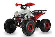 Keturratis benzininis 125CC ATV EAGLE