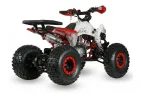 QUAD BIKE petrol 125CC ATV EAGLE