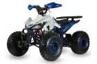 QUAD BIKE petrol 125CC ATV EAGLE