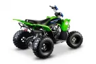 QUAD BIKE petrol 125CC ATV Pentora