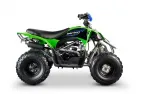 QUAD BIKE petrol 125CC ATV Pentora