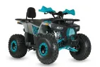 QUAD BIKE petrol 125CC ATV Raptor