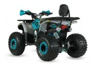 QUAD BIKE petrol 125CC ATV Raptor